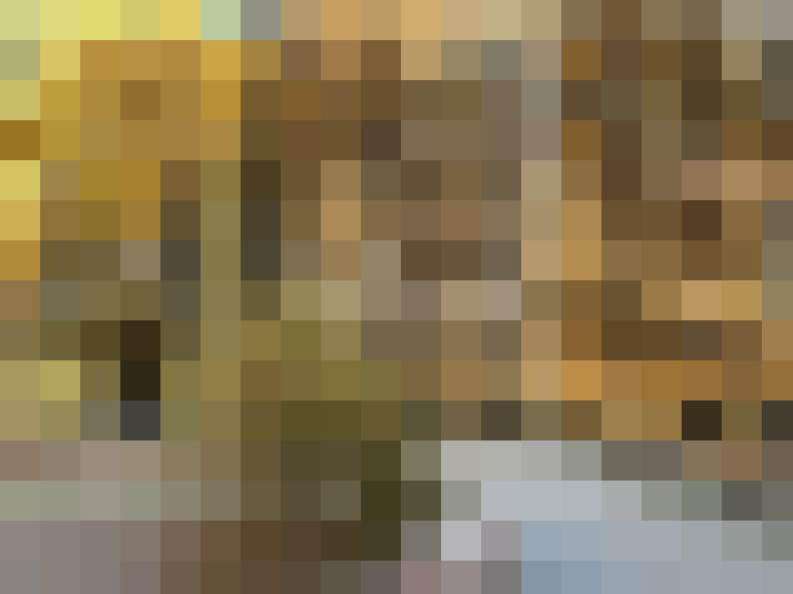  / #16
