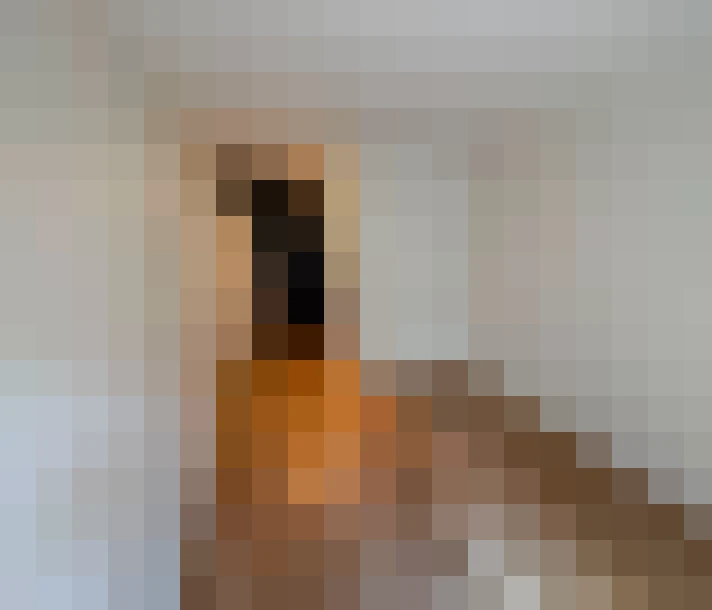  / #9