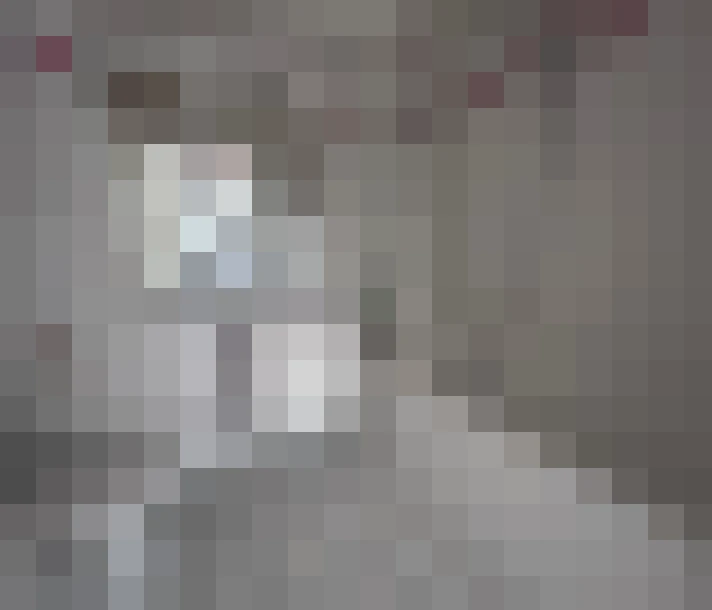  / #7