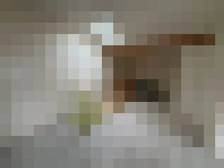  / #8
