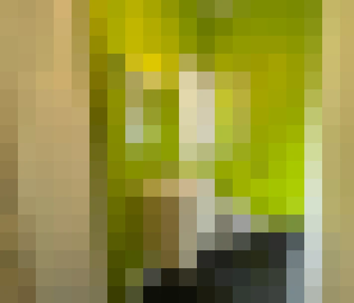  / #12