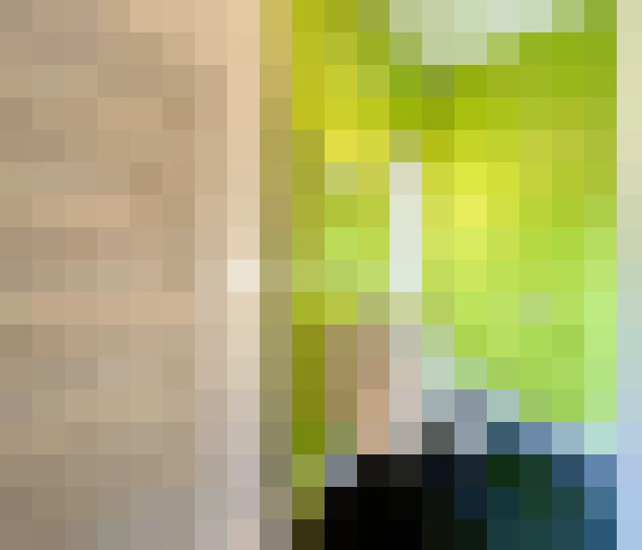  / #14