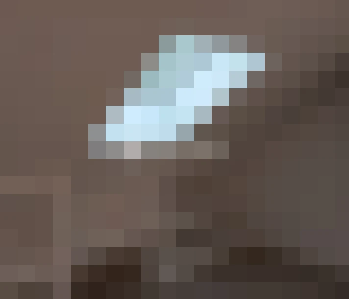  / #8