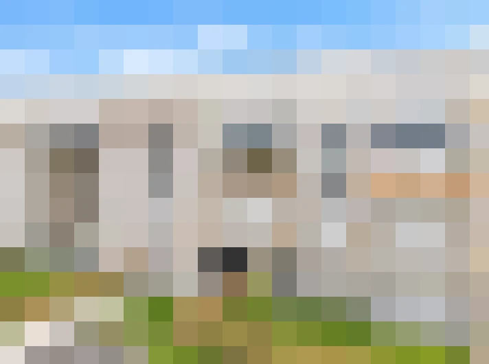  / #5