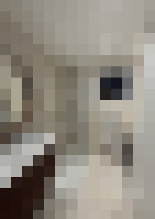  / #7