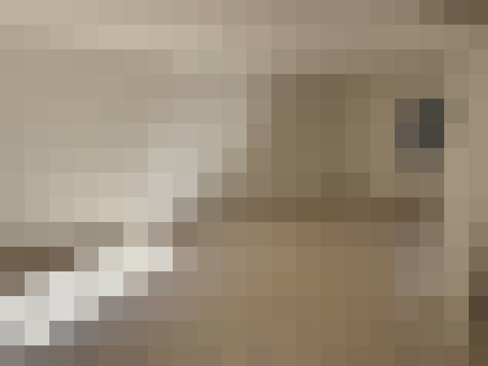  / #6