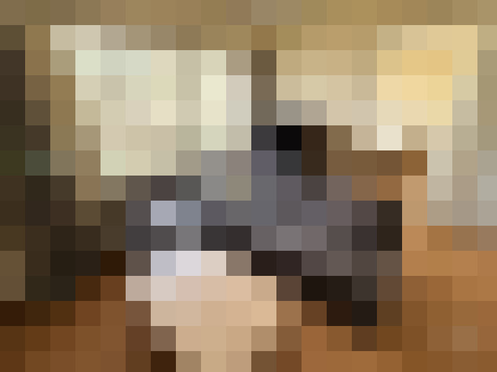  / #8