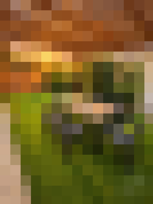  / #12