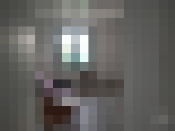  / #7