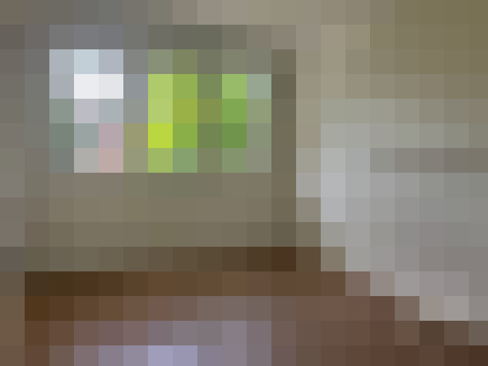  / #8