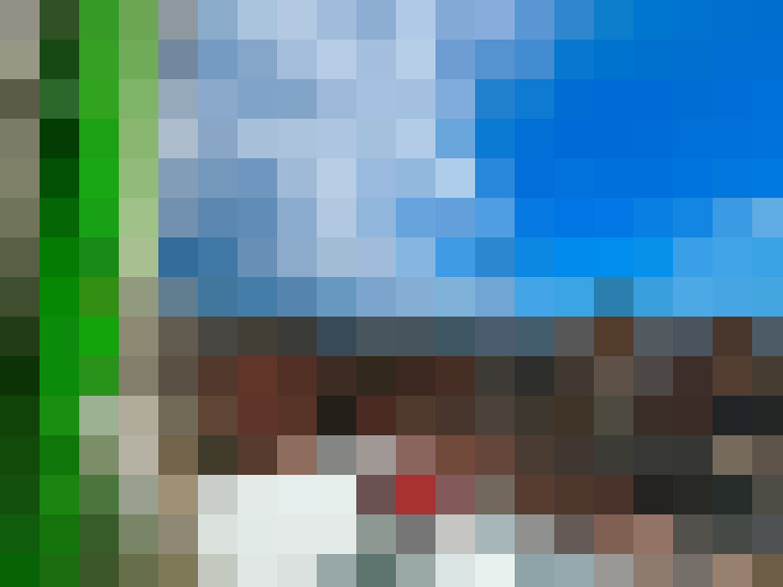  / #7