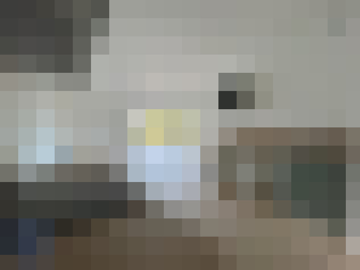  / #7