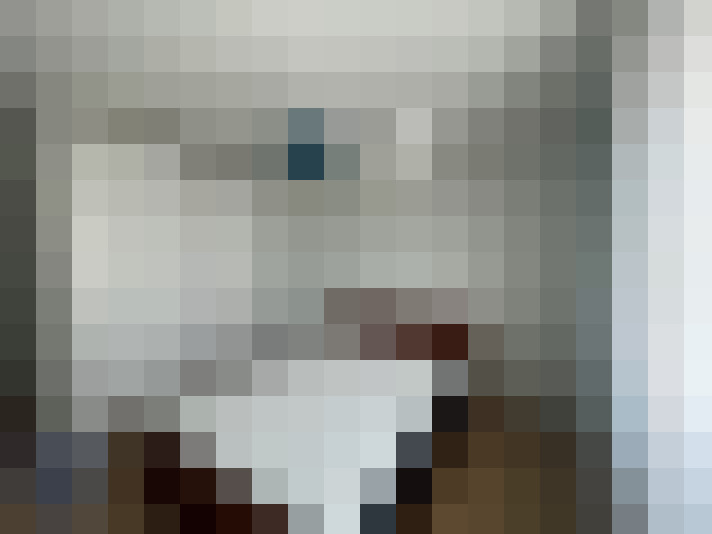  / #6