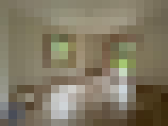  / #8