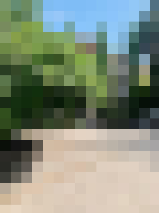  / #7