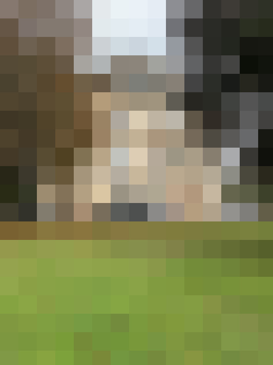  / #14