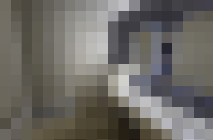  / #13