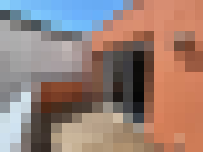  / #6