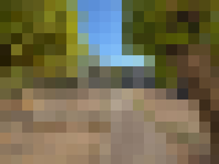  / #7