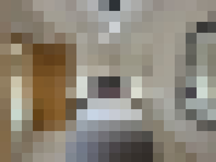  / #14