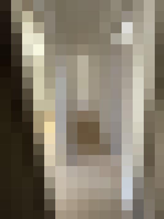  / #6