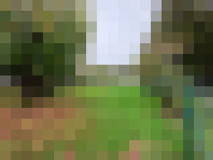  / #14