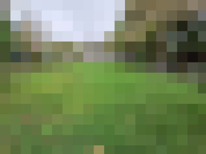  / #15