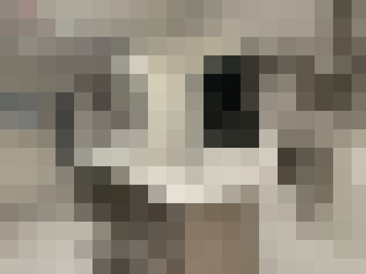  / #9
