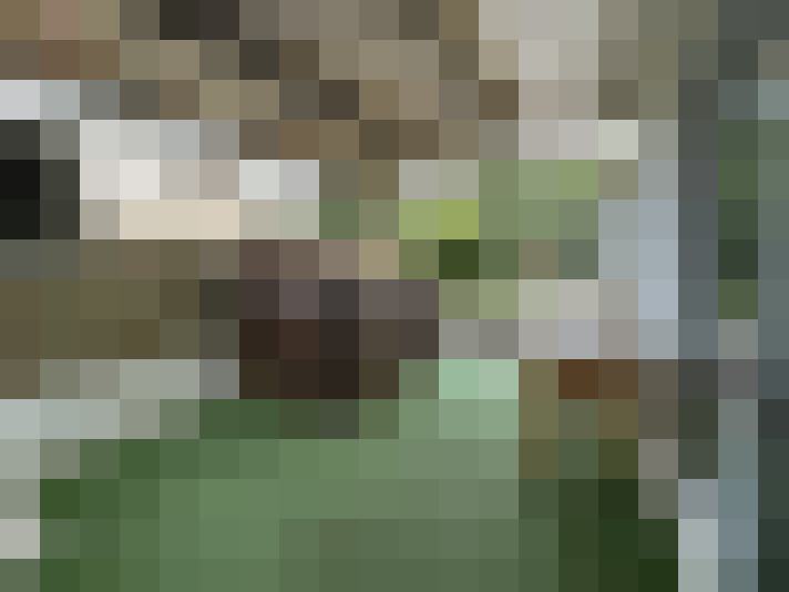  / #13