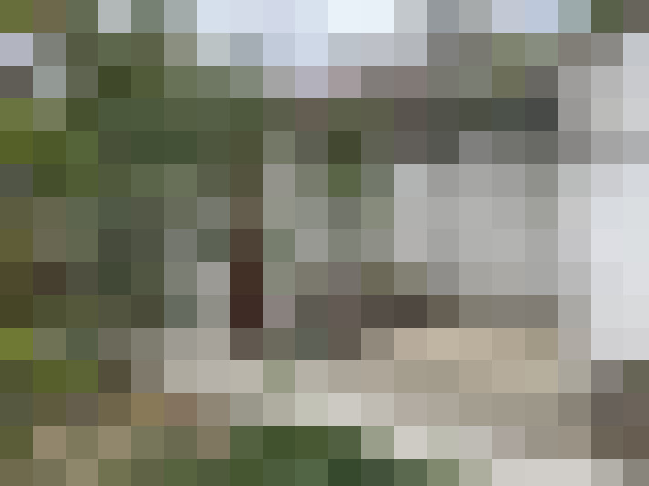  / #15
