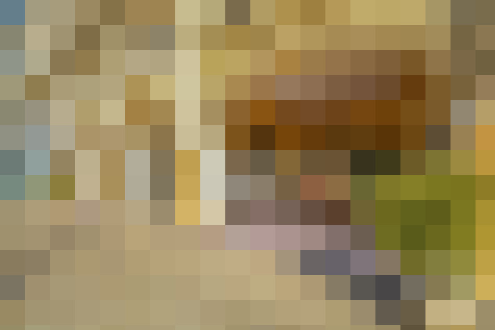  / #8