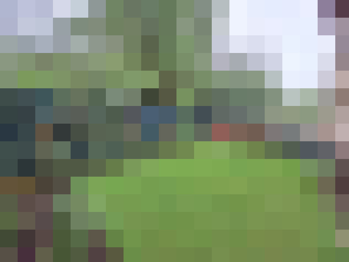  / #6