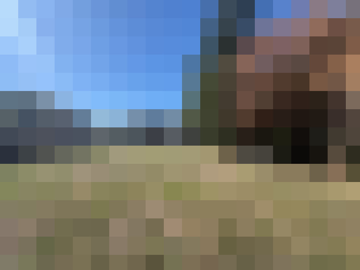  / #14