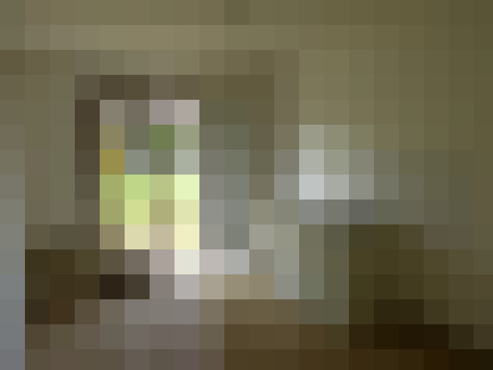  / #6