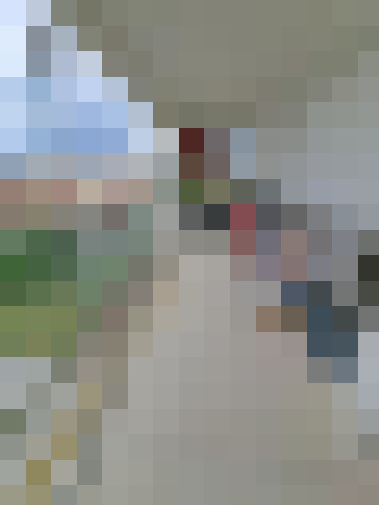  / #15