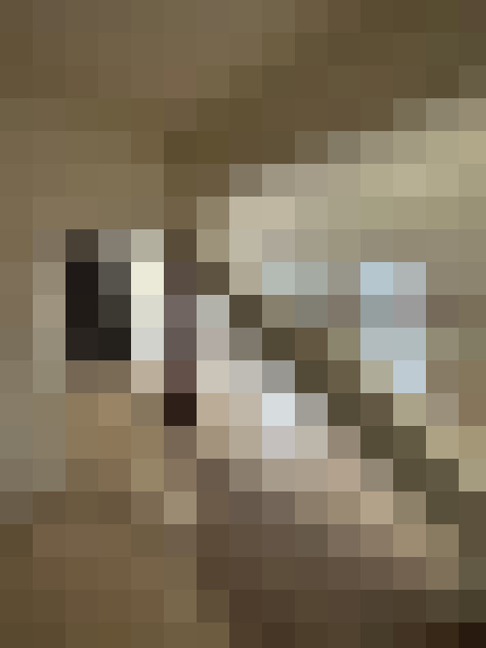  / #5