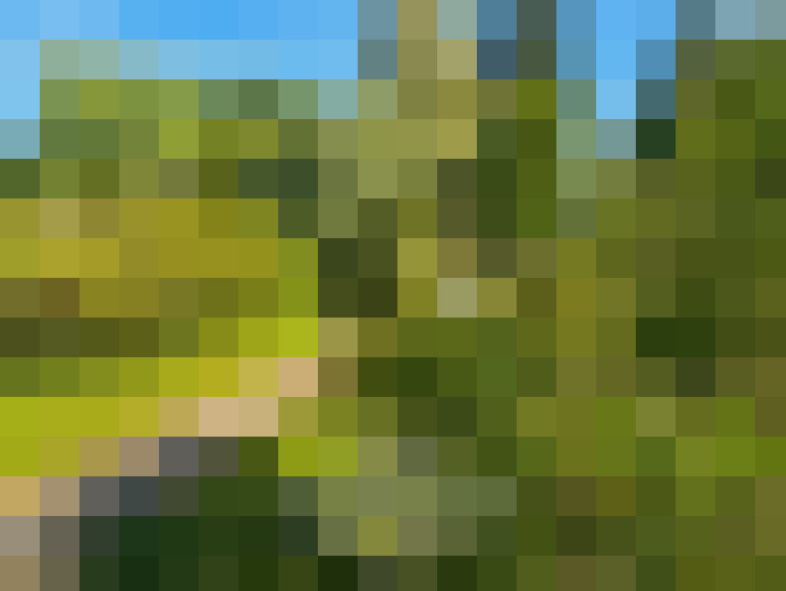  / #15