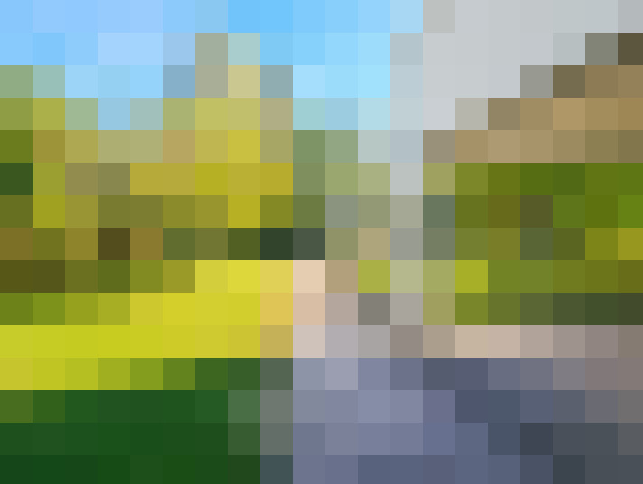 / #13