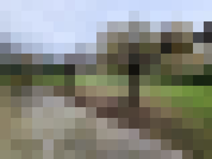  / #15