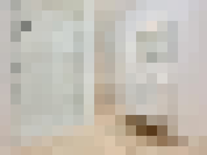  / #19