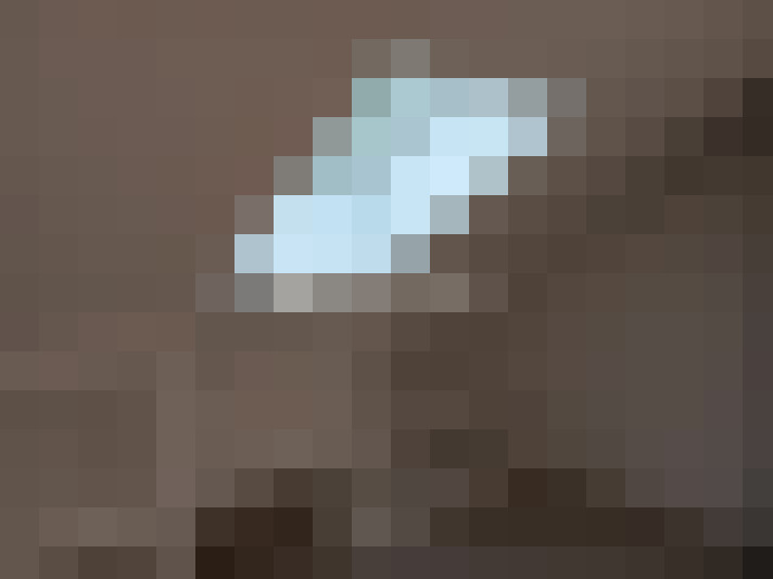  / #8