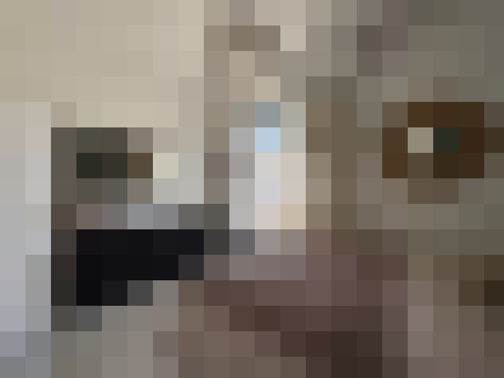  / #9