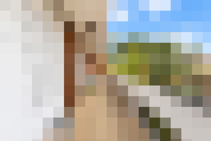  / #21
