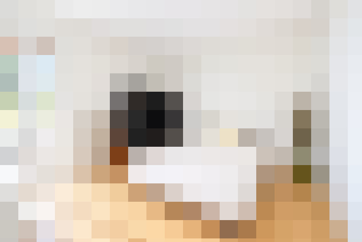  / #17