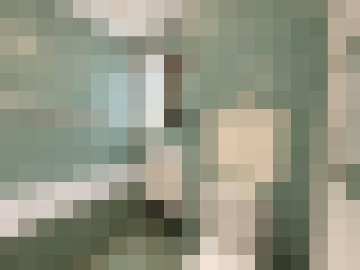  / #11