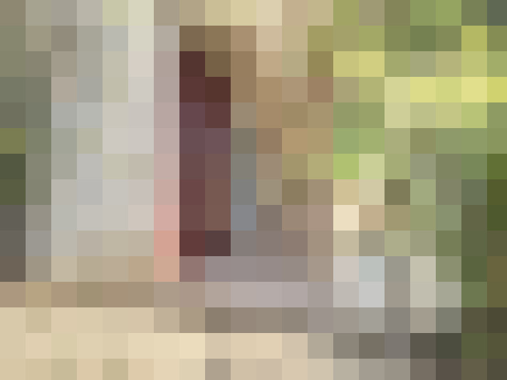  / #16