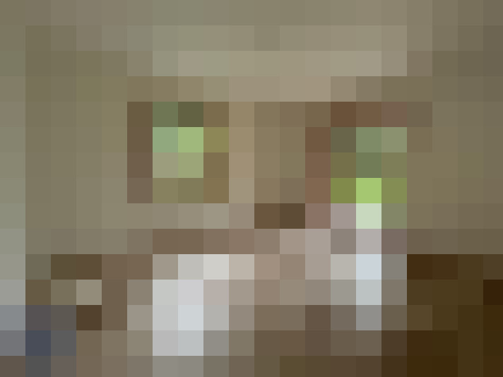  / #8