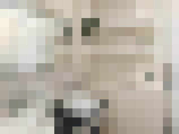  / #14