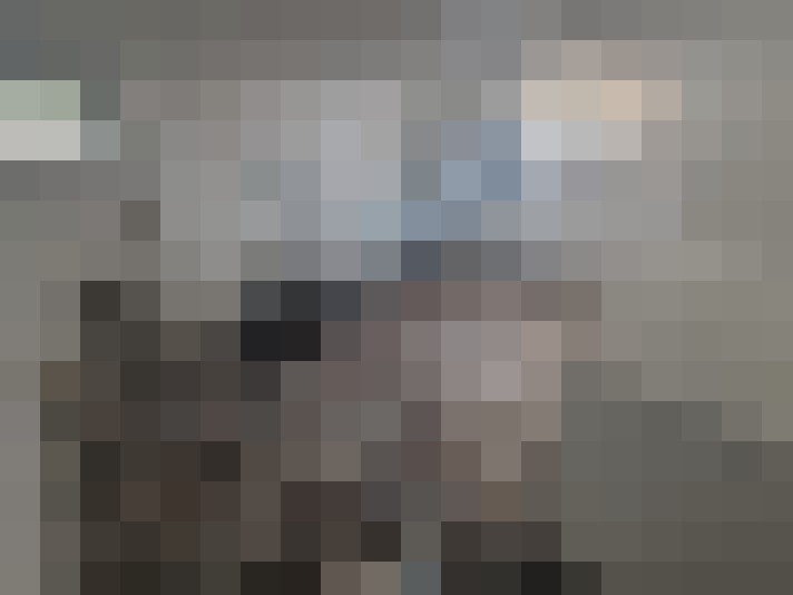  / #19