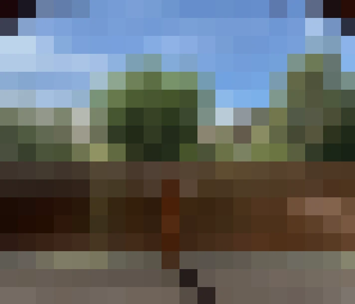  / #11